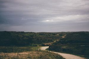 Lonely Dunes  von Stephan de Haas