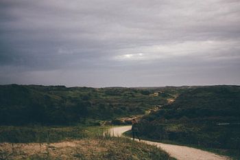 eenzaam in de duinen