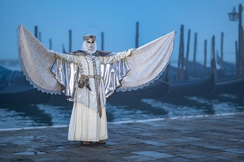 carnival in Venice, Vewnice carnival