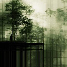 Stedelijke groen van De Decorije