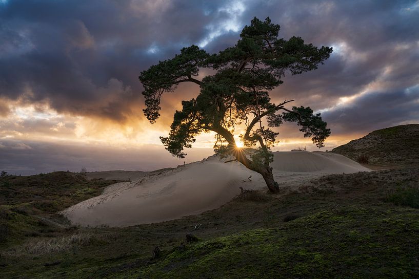 Zonsondergang Veluwe van Rick Kloekke