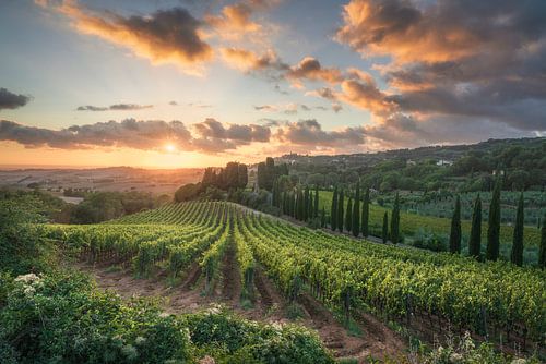 Adembenemende zonsondergang over de wijngaarden in Toscane