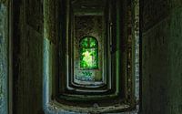 colors of decay