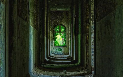 colors of decay