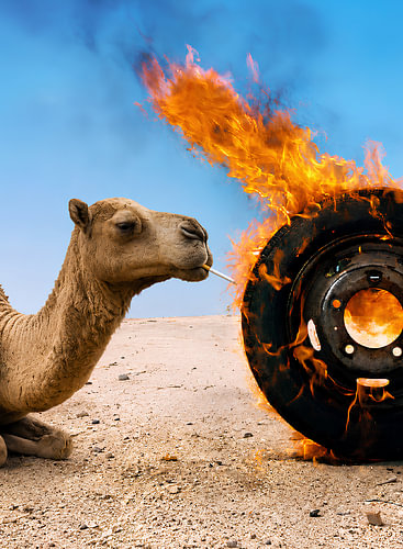 Camel and Burning Wheel in the Desert