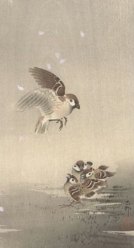 Ohara Koson - Tree sparrow with young (edited) by Peter Balan