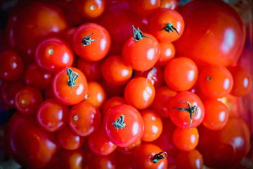 Tomatoes by Rob Boon