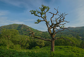 Fairfield Peak - Lake District (Angleterre) sur Marcel Kerdijk
