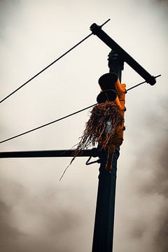 Vogelnest von Nadine Van Schie