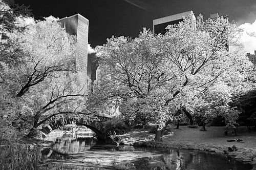 New York Central Park von Kurt Krause