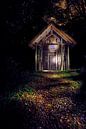 sprookjes huisje beschilderd door licht van Karel Ham thumbnail
