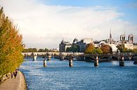 Rivier de Seine in hartje Parijs van Ivonne Wierink thumbnail