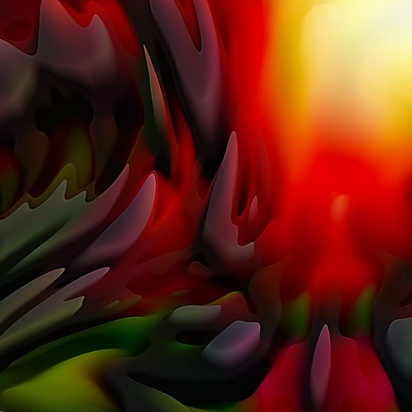 Tulipes 2025 par Andreas Wemmje