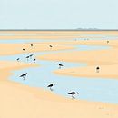 Birds on the mudflats at low tide ameland. by J.a Dijkstra thumbnail