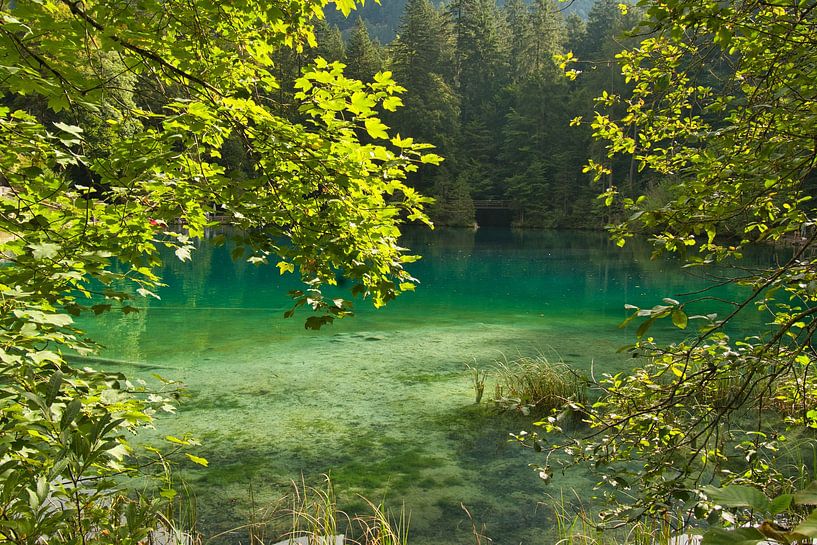 Blauw meer in Zwitserland van Tanja Voigt