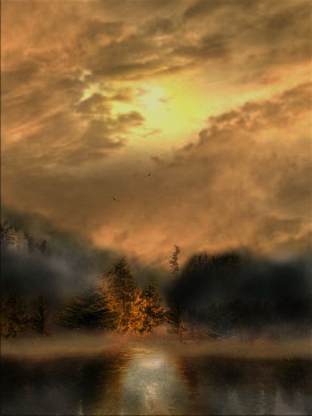 Glow in the fog par ART & DESIGN by Debbie-Lynn