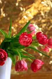Gefüllte Tulpen von Thomas Jäger
