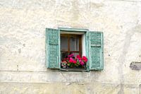 Window with flowers