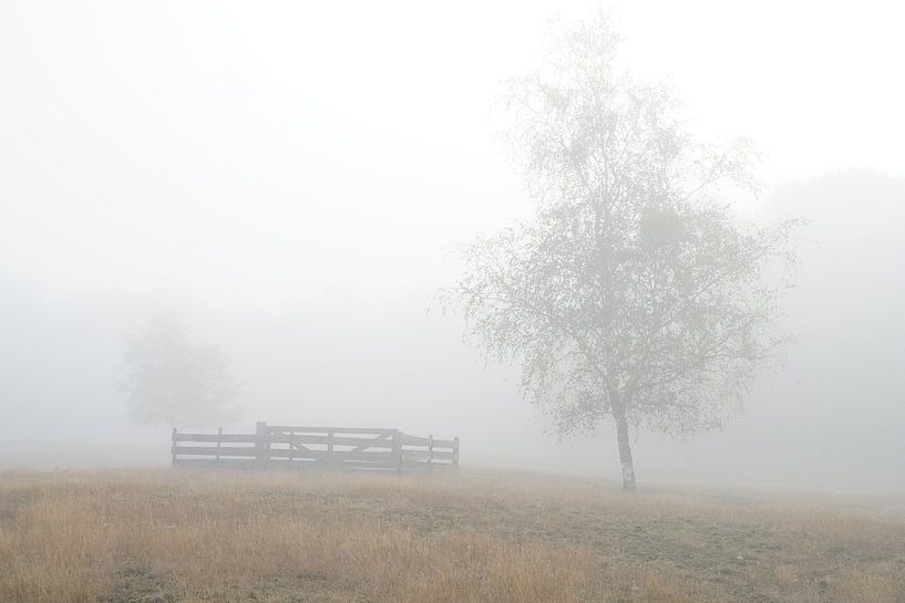 Mist in de morgen van Herman Peters