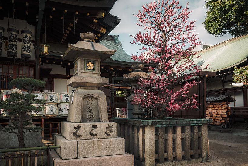 Kirschblüte &amp; Tradition: Japanischer Tempel im Frühling von NZME Photography