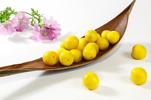 Mirabellen und Rosenmalve