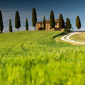 Tuscany impression by Andreas Müller