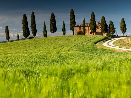 Impressie van Toscane