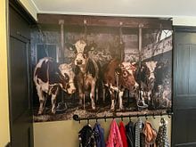 Klantfoto: Koeien in oude koeienstal van Inge Jansen, als naadloos behang