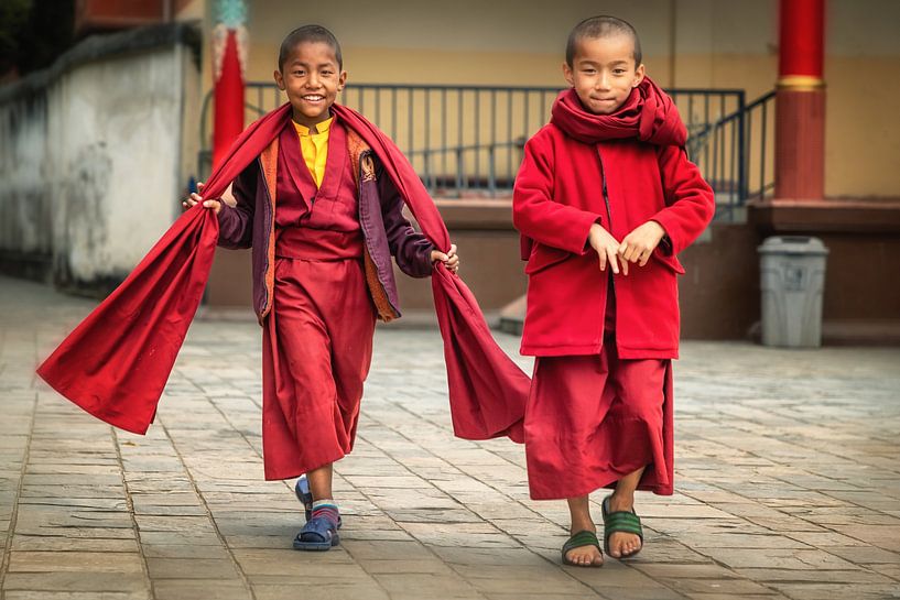 Jolly Monks par Marco Rutten