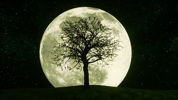 een mysterieuze boom in het maanlicht (3d rendering, dit beeld elem van Rainer Zapka
