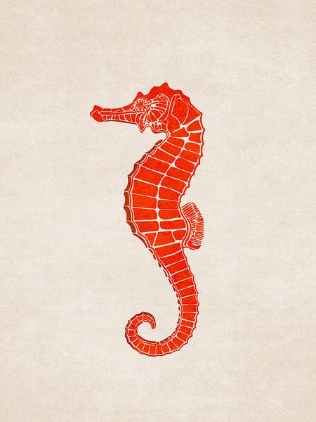 Red Seahorse by Emel Tunaboylu by The Artcircle