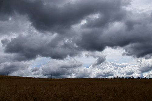Bewolkte luchten in de herfst