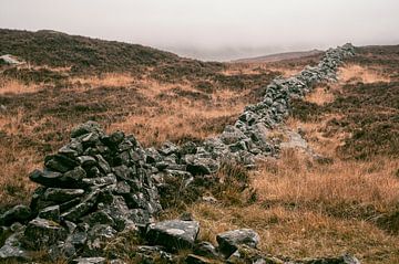 Stone wall in a highland landscape during autumn in Scotland by Sjoerd van der Wal Photography