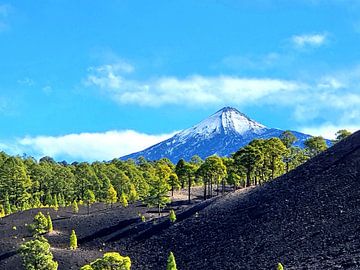 View of the Teide by zam art