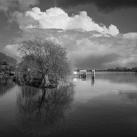 An den Ufern des Flusses Lek von Mart Houtman