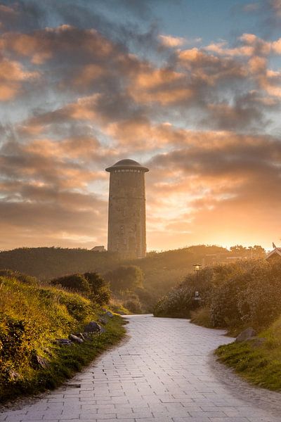 Der Wasserturm von Domburg von Danny Bastiaanse