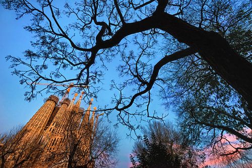 Kleuren beeld van de Sagrada Familia in Barcelona overdag
