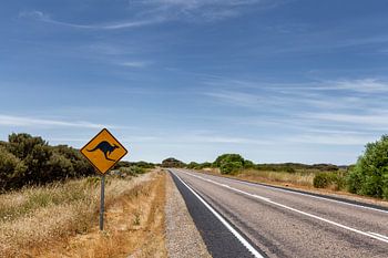 Outback Australië. Beroemde iconische kangaroe snelweg bord