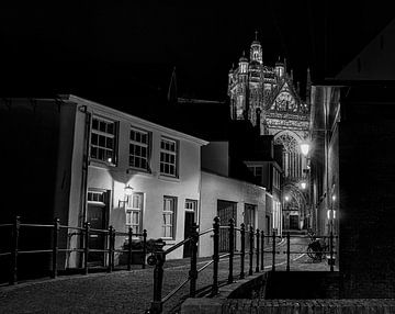 Zicht op de Sint-Janskathedraal van 's-Hertogenbosch van Ron Frenken