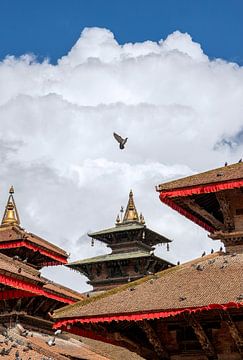Bird escapes from temple. by Floyd Angenent