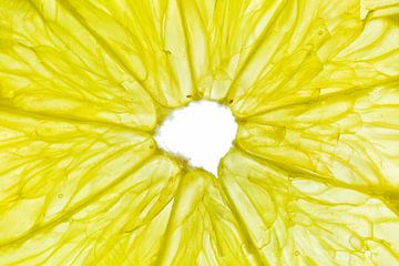 Close-up van een citroen schijfje met een witte achtergrond.