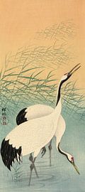 Deux grues, Ohara Koson