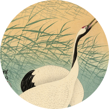 Twee kraanvogels, Ohara Koson