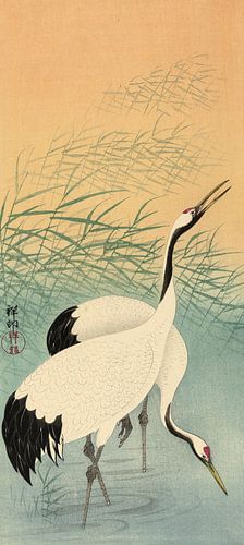 Twee kraanvogels, Ohara Koson