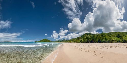 Tropisch Caribisch strand