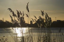 Rotterdam Skyline by Wijnand Kroes