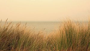 aan zee -2-  van Yvonne Blokland