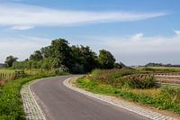 Texel