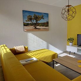 Klantfoto: Een sterke eikenboom op een zandverstuiving van Lisette Rijkers, als ArtFrame