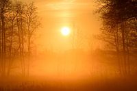 mystischer Sonnenaufgang